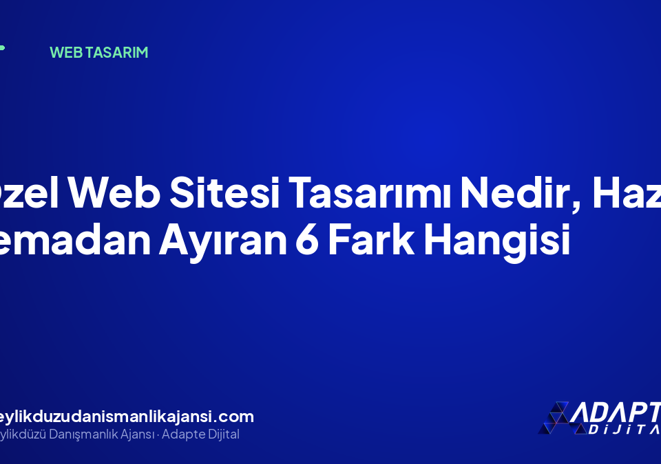 Özel Web Sitesi Tasarımı Nedir, Hazır Temadan Ayıran 6 Fark Hangisi Özel Web Sitesi Tasarımı Nedir, Hazır Temadan Ayıran 6 Fark Hangisi