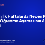 Reklam İlk Haftalarda Neden Pahalı Gelir? Öğrenme Aşamasının 6 Sebebi