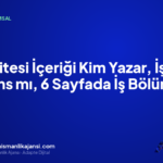 Web Sitesi İçeriği Kim Yazar, İşletme mi Ajans mı, 6 Sayfada İş Bölümü