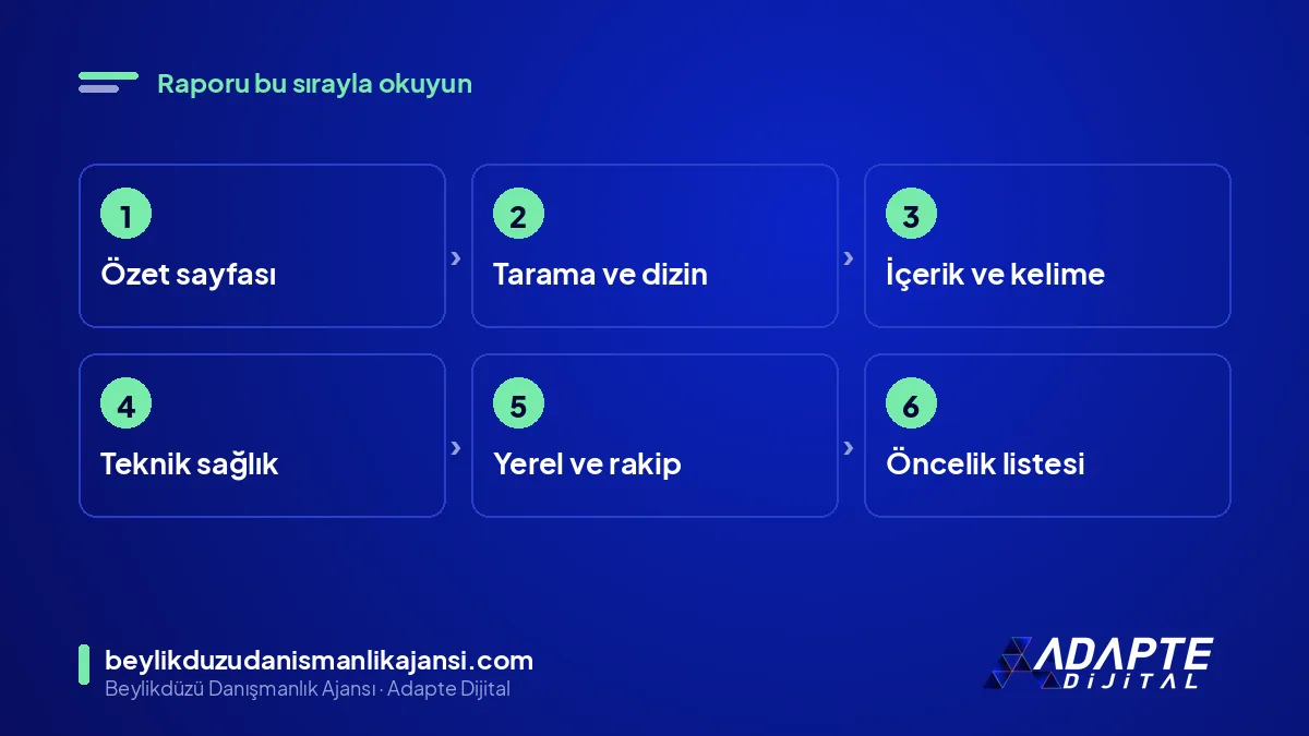 SEO denetimi okuma sırası: özet, tarama, içerik, teknik, yerel ve öncelik listesi